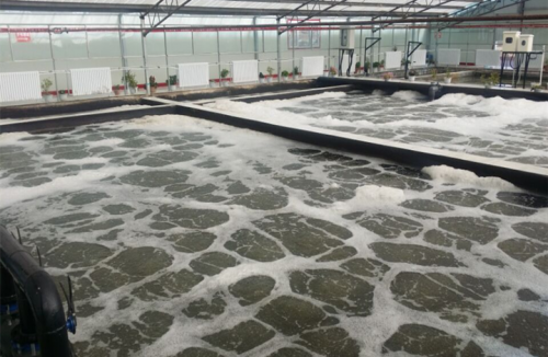 9001cc金沙以诚为本填料助力青海某市政污水厂提标刷新顺遂完成