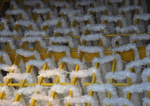 浙江某食物废水填料刷新项目