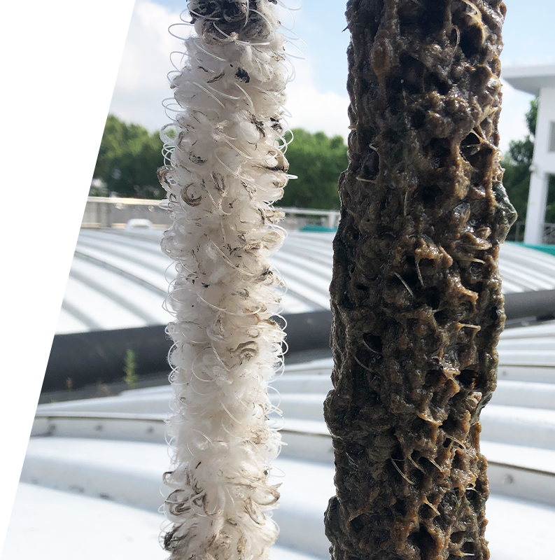 9001cc金沙以诚为本(中国游)官方网站