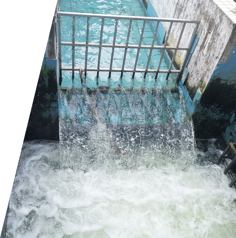 9001cc金沙以诚为本(中国游)官方网站